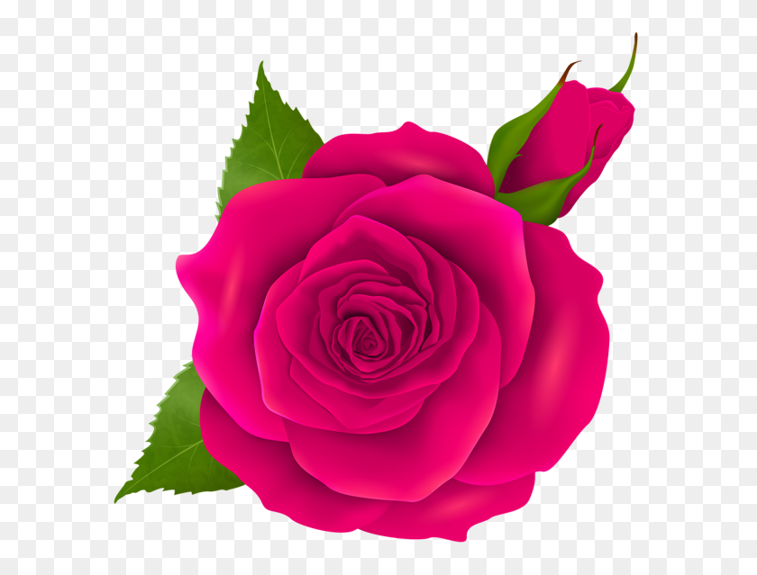 600x579 Корона Корона Цветок Цветочная Корона Цветочная - Розовый Цветок Корона Png