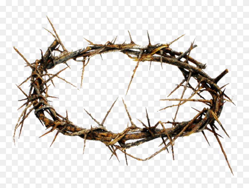 2942x2171 Crown Of Thorns Png Hd Transparent Crown Of Thorns Hd Images - Crown Of Thorns PNG