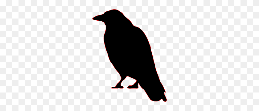 242x300 Crows Ravens Crow, Crow - Anonymous Clipart