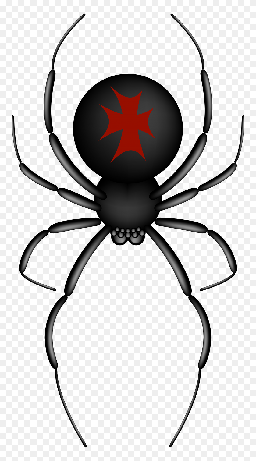 4292x8000 Crusader Spider Transparent Png Clip Art Gallery - Spider Clipart Transparent