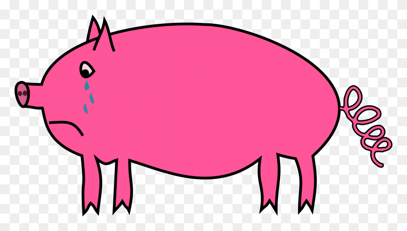 2400x1280 Crying Pig Vector Clipart Image - Show Pig Clip Art