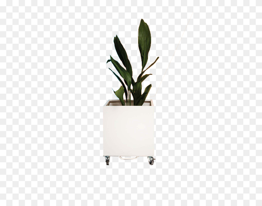 600x600 Cubic Planter Garden Accessories Contract Furniture - Planter PNG