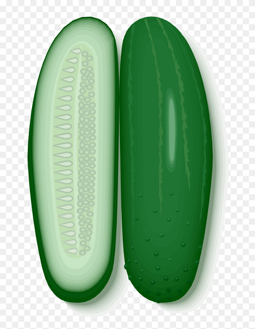 709x1024 Cucumber - Cucumber PNG
