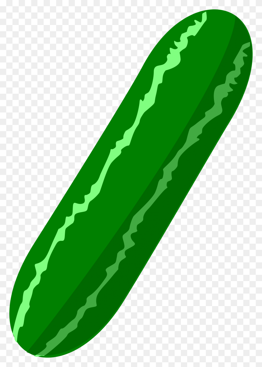 1678x2400 Cucumber Clipart Png Png Image - Cucumber PNG