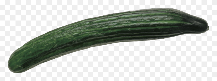 850x279 Cucumber Png - Cucumber PNG