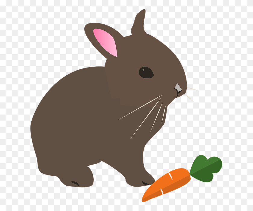 637x640 Весенний Кролик В Обнимку - Клипарт Шоколадный Кролик