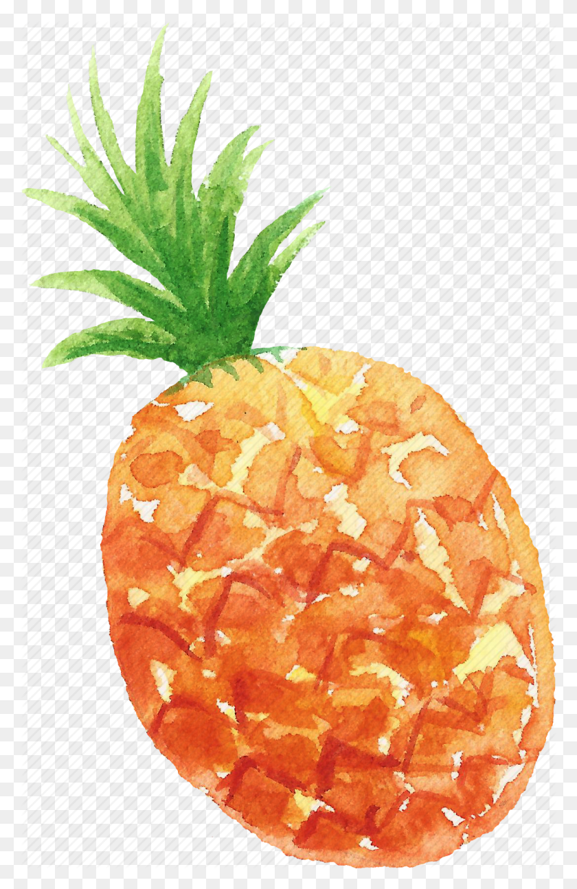 1090x1726 Cuisine, Food, Fruit, Fruits, Pineapple, Watercolor, Watercolors Icon - Pineapple PNG