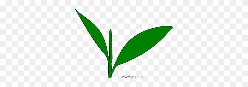 332x236 Cultivation Omte Se - Tea Leaf PNG