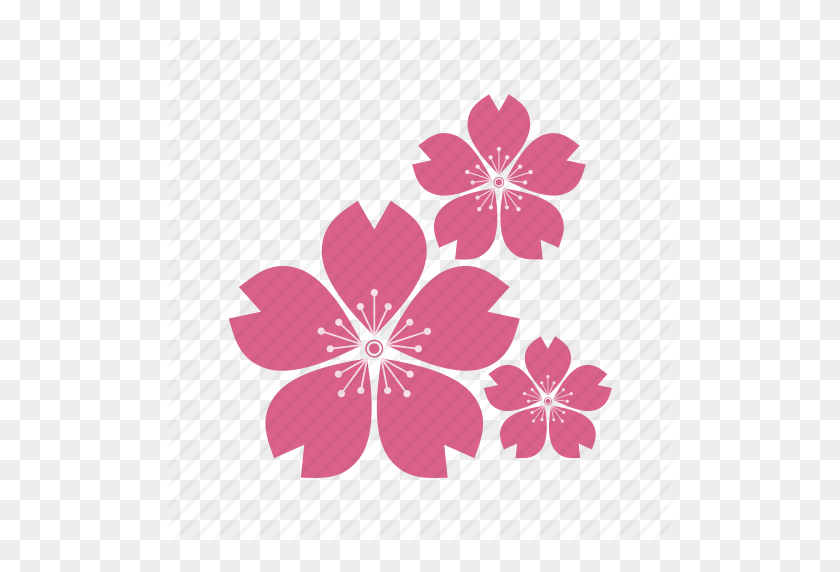 512x512 Culture, Eco, Ecology, Flower, Flowers, Plant, Sakura - Sakura Flower PNG