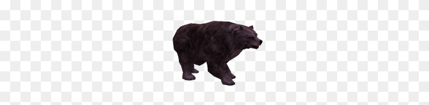 200x146 Cursed Grizzly Bear - Grizzly Bear PNG