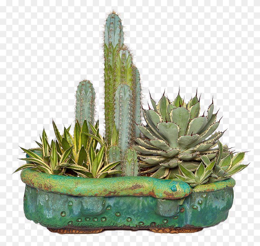 1000x940 Custom Specialty Pottery And Vases For Cactus And Succulents - Succulent PNG