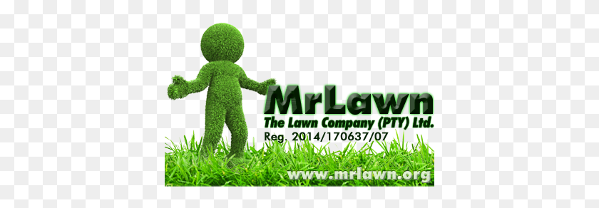 378x232 Customer Care Strategy - Lawn PNG