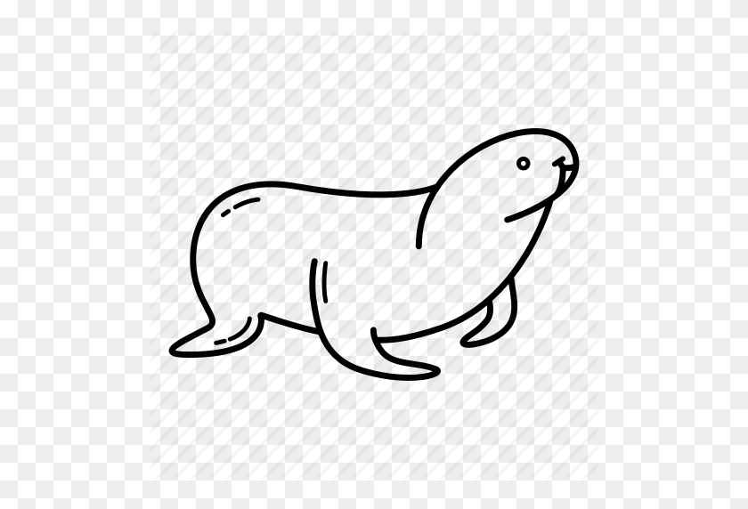 512x512 Cute Animal, Marine Animal, Sea, Sea Creature, Sea Lion, Seal - Seal Black And White Clipart