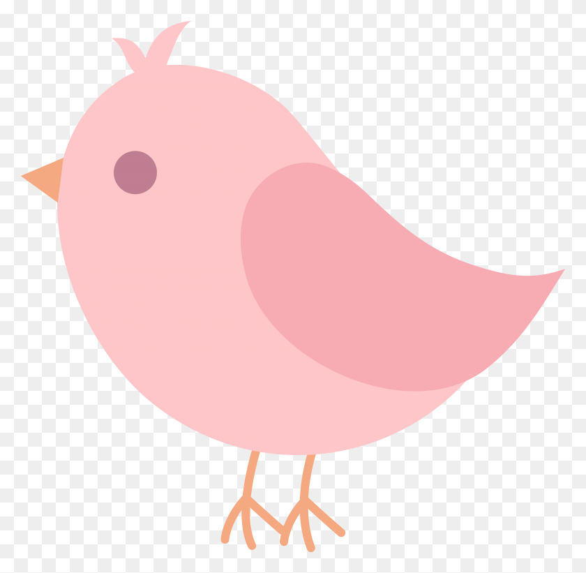4621x4511 Cute Bird Cliparts - Pink Bird Clipart