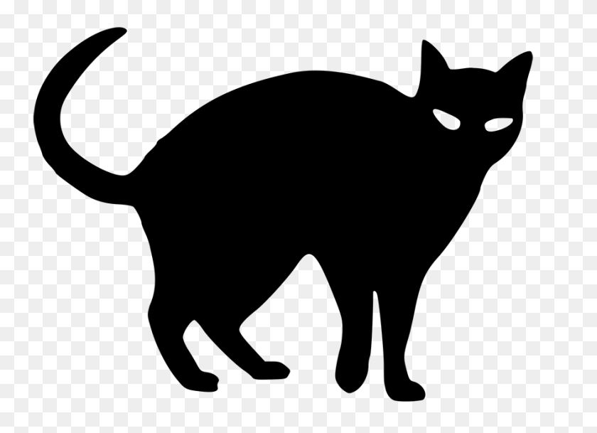 886x624 Lindo Gato Negro Clipart Png Collection - Lindo Gato Png