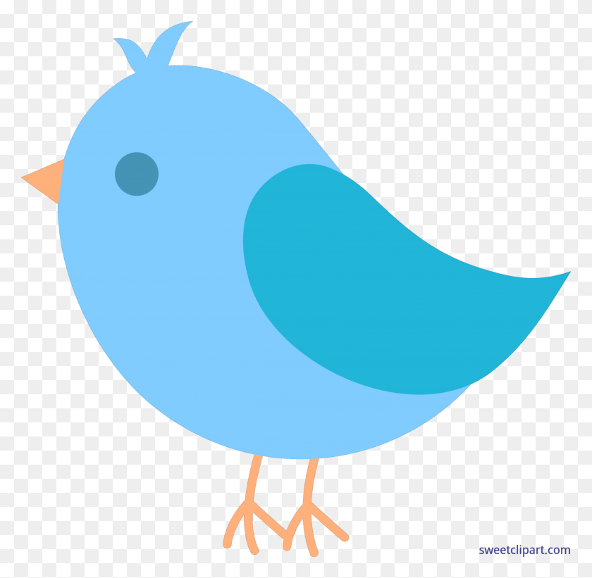 4621x4511 Симпатичные Синие Птицы Картинки - Tumblr Клипарт