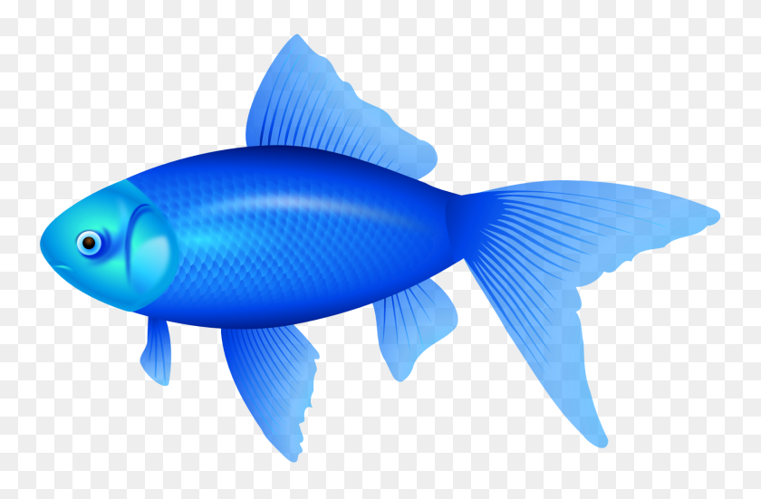 1680x1058 Коллекция Симпатичных Голубых Рыбок - Симпатичные Рыбки Клипарт