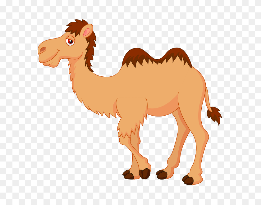 600x600 Симпатичные Верблюды Клипарт Смешные Картинки - Смешные Персонажи Клипарт