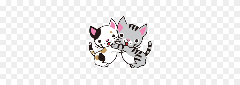 240x240 Cute Cats Line Stickers Line Store - Cute Cat PNG