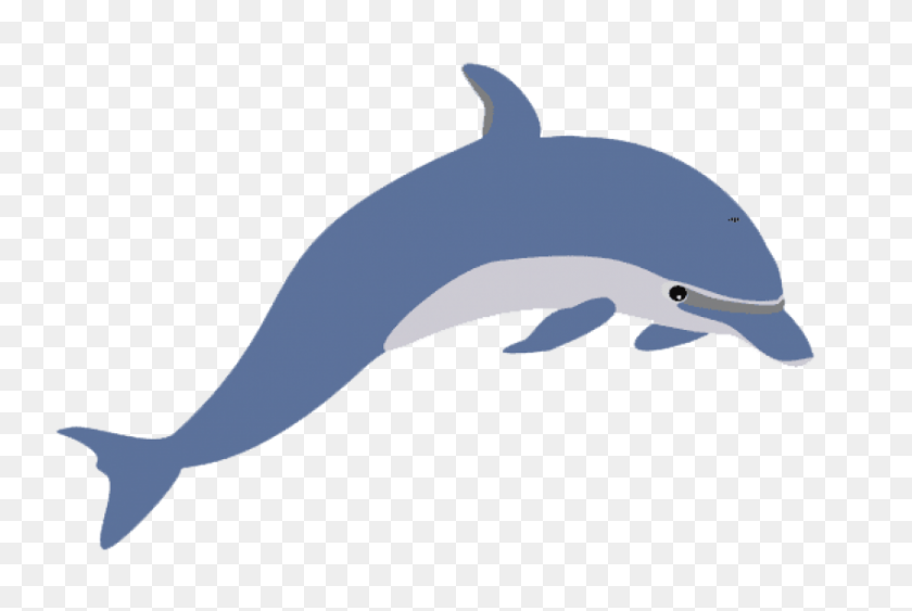 850x549 Cute Clipart Dolphin Png - PNG Cute
