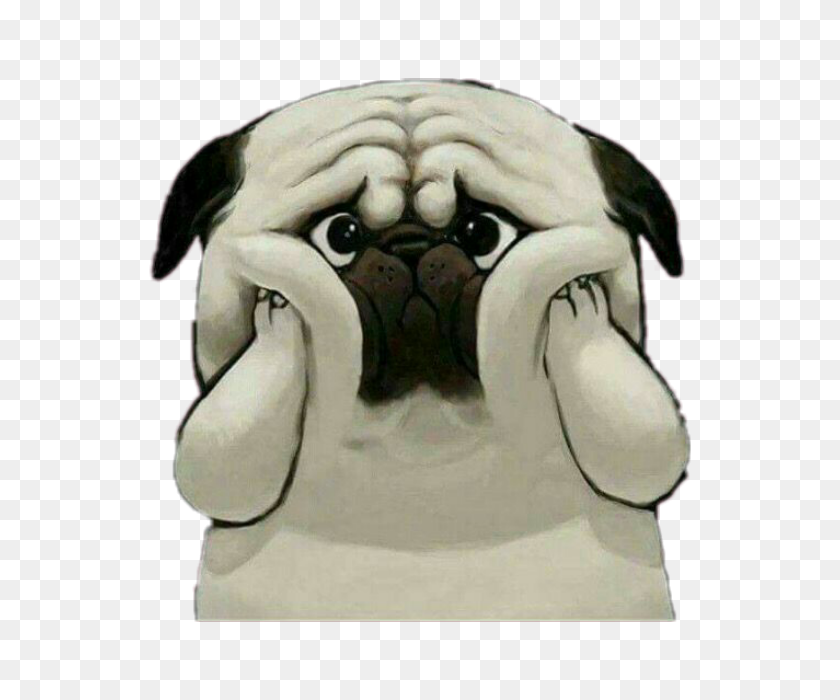 640x640 Cute Dog Sad Shocked - Sad Dog PNG