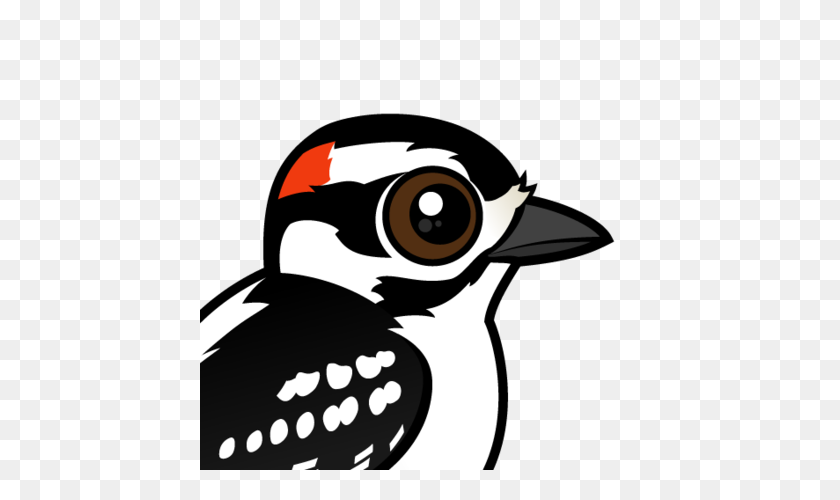 440x440 Cute Downy Woodpecker - Puffin Clipart