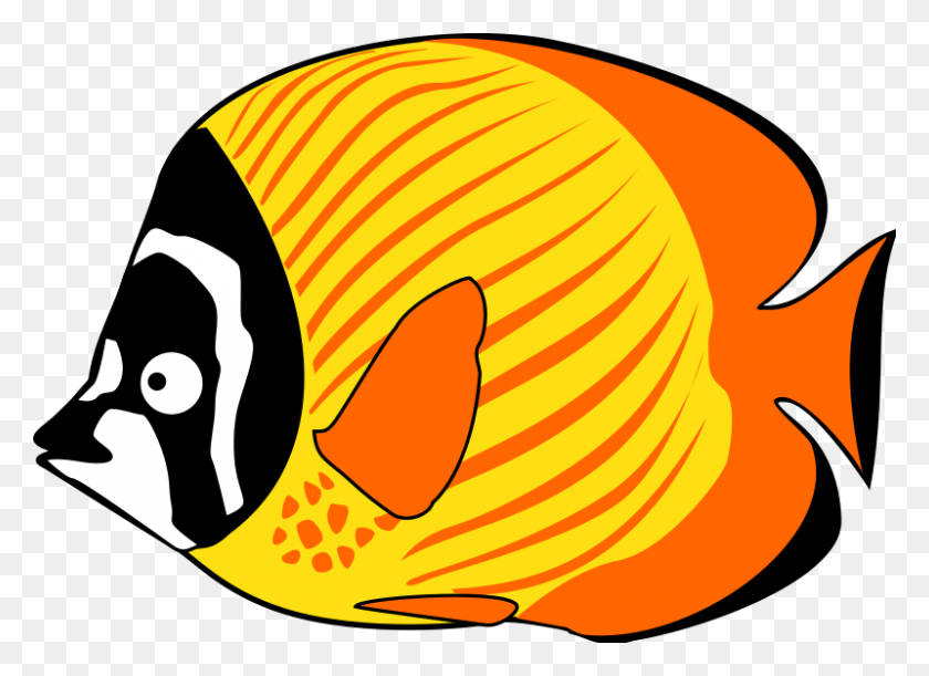 800x566 Симпатичные Рыбы Картинки Черный И Белый - Точка Зрения Клипарт