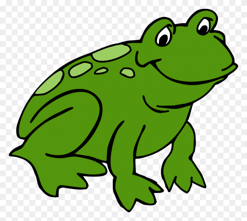 800x710 Cute Frog Clipart - Frog Face Clipart