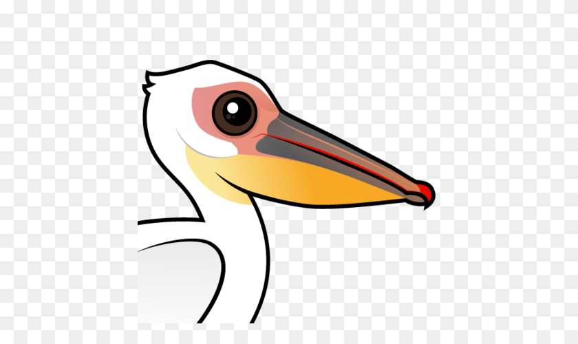 440x440 Cute Great White Pelican - Pelican Clip Art