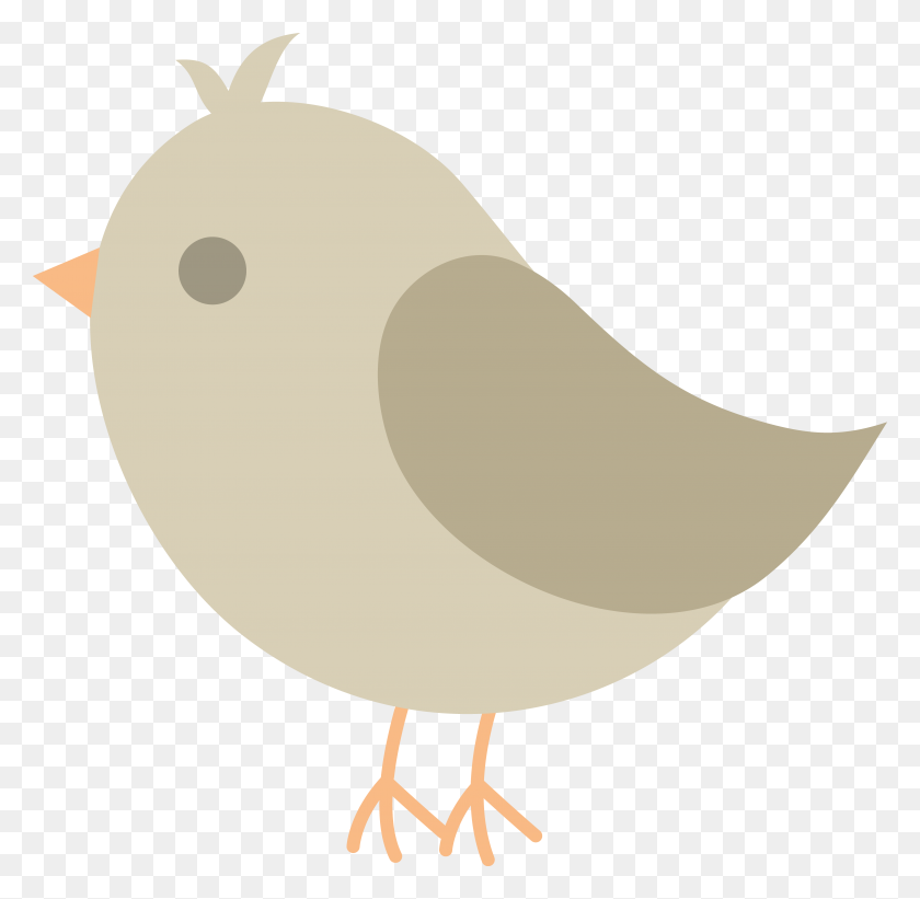 4621x4511 Cute Grey Bird - Spring Bird Clipart