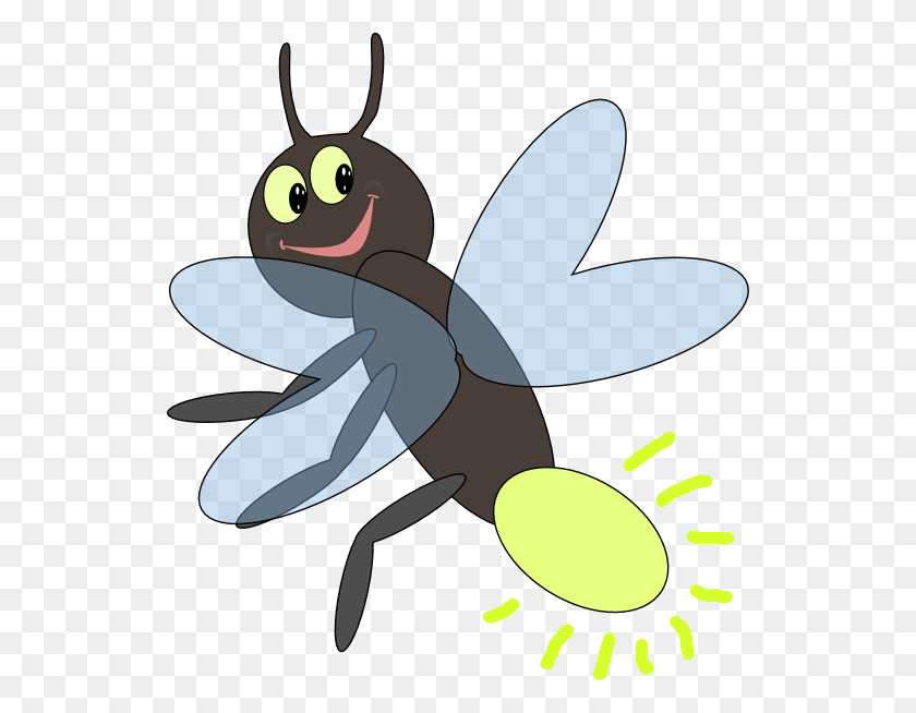 Insects Images Free Download