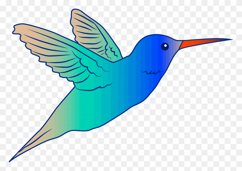 5275x3613 Cute Parrot Clipart Flying Bird Hummingbird Illustration Free Png - Hummingbird PNG