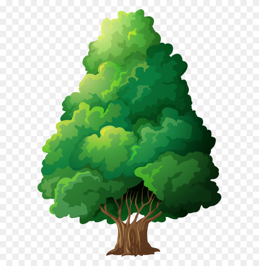 600x800 Cute Picture Tree, Cartoon Trees And Art - Woodland Tree Clipart