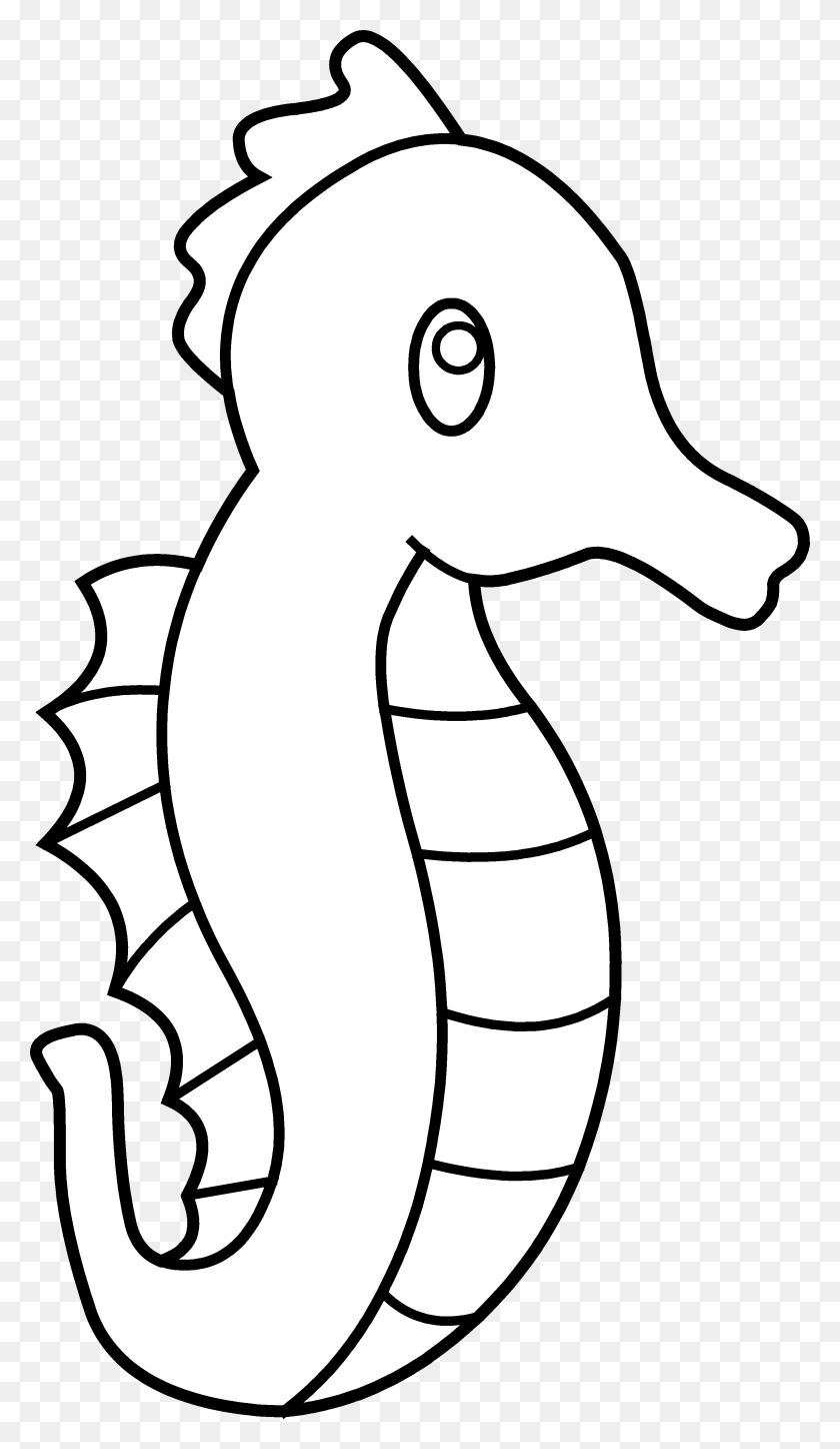 2739x4871 Cute Seahorse Line Art Free Clip Clipart - Cute Seahorse Clipart