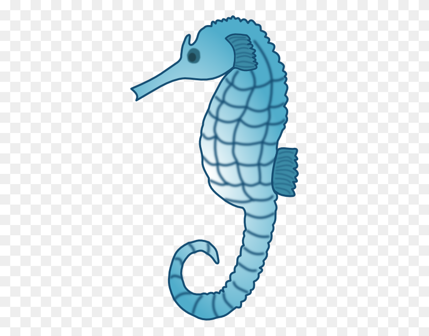 330x597 Cute Seahorse Png Photo - Seahorse PNG