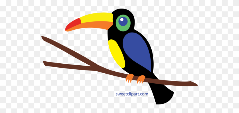 550x336 Lindo Tucán Clipart - Tucán Png