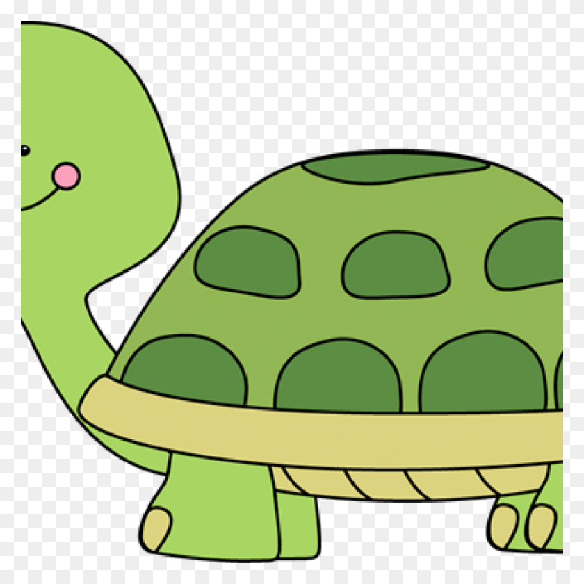1024x1024 Cute Turtle Clip Art Free Clipart Download - Turtle PNG Clipart