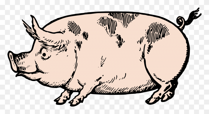 1500x766 Cute Vintage Pig Clip Art Stock Vector Oh So Nifty Vintage - Old Book Clipart