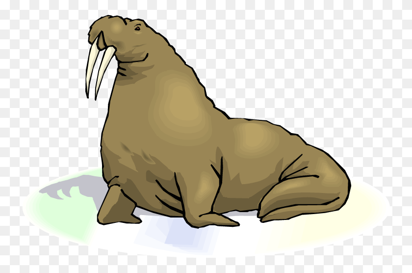 750x496 Cute Walrus Clipart Black And White Free - Black And White Clipart Lion