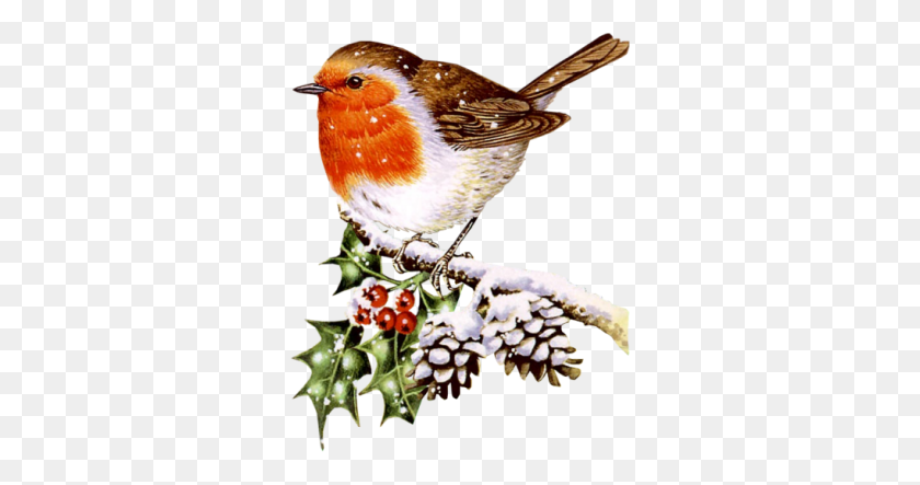 310x383 Cute Winter Bird Clip Art Clip Art Winter Bird Related Keywords - Christmas Birds Clipart