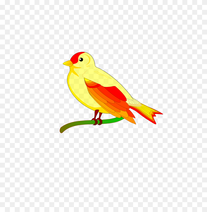 565x800 Cute Yellow Bird Clip Art - Canary Clipart