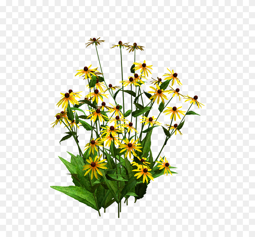 509x720 Cuts Green - Wildflowers PNG