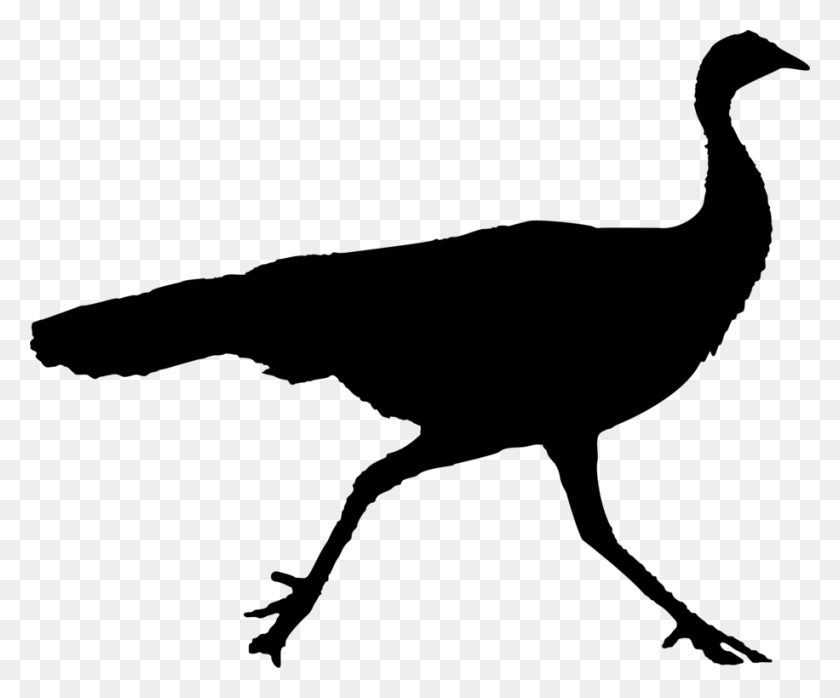 916x750 Cygnini Goose Beak Duck Bird - Wild Turkey Clipart
