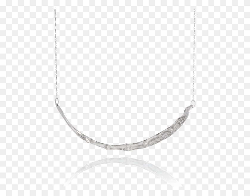 600x599 Cygnus Necklace - Silver Chain PNG