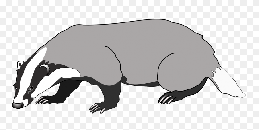 1331x621 Dachs Badger Png - Badger Clipart