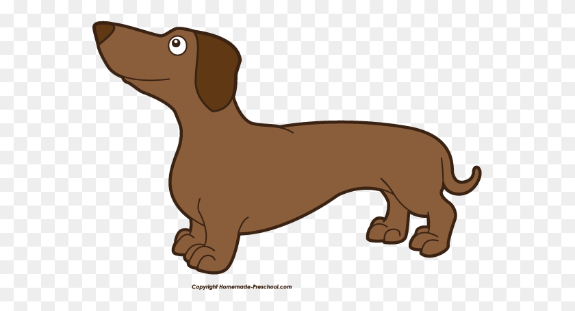 569x394 Dachshund Clip Art - Real Dog Clipart