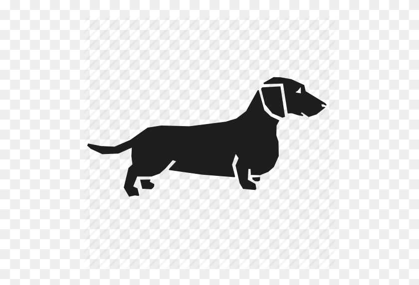 512x512 Dachshund, Perro, Mascota, Pequeño, Icono De Wiener - Dachshund Png