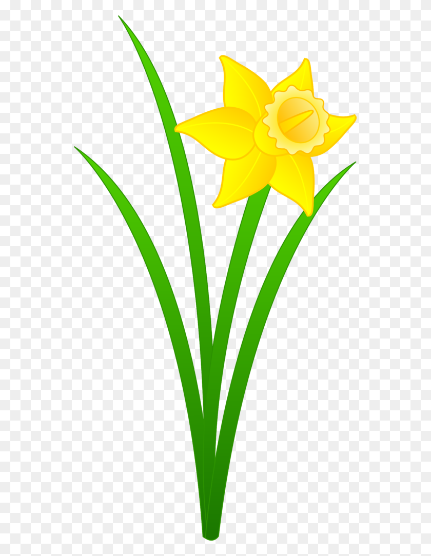 551x1024 Daffodil Clipart Bulb Clip Art No Background - Diamond Ring Clipart No Background
