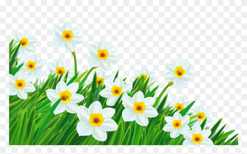 1024x608 Daffodil Clipart Spring Break Clip Art No Background - Spring Break Clip Art