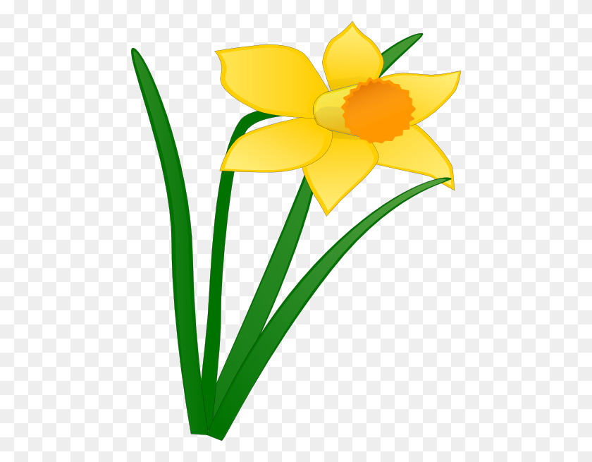 468x595 Daffodil Flower Clip Art Daffodil Clip Art - Watering Flowers Clipart